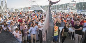 Ünlü İsimler Tuna Masters Teos'da Yarıştı