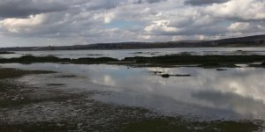 Ladik Gölü’nü kurtarma çalışmaları başladı