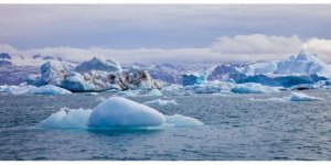 Arktik sularında ağzı olmayan yeni bir canlı bulundu