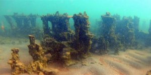 Bitlis’te 10 bin yaşında mikrobiyalit vadisi bulundu