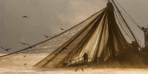 Denizler ve balıkçılık tehditlerle karşı karşıya