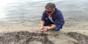 Altınova'da denizden maden çıkarılmasına tepki