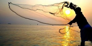 Balık stoklarının üçte biri tamamen tükenmek üzere