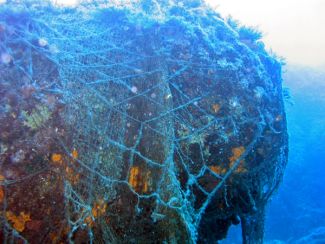 Denizlerde kafes avcılığına yönelik denetimler sürüyor