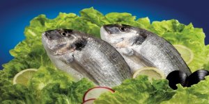 Türk balıkları hava kargo ile İsrail'e uçuyor