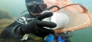 Kanserle savaşan deniz mikro organizmaları