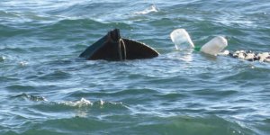 Pendik’de balıkçı teknesi battı: 1 kişi kayıp