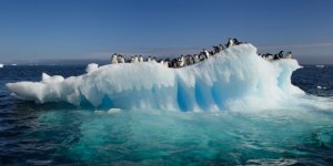 Türkiye Antarktika'da 'danışman ülke' olma yolunda