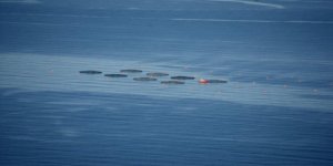 Karadenizli turizmciler balık çiftliklerinden endişeli