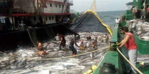 Karadenizli balıkçılar rotalarını okyanusa çevirdi
