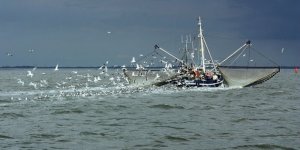 41 balıkçı gemisine avcılıktan çıkma desteği