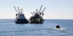 Balık avı yasakları Gürcistan'ı zengin etti