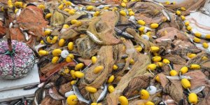 Sinoplu balıkçılar 1 ton kefal yakaladı