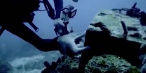 Escobar'ın kayıp denizaltısı bulundu