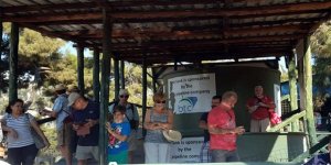 Kaplumbağa rehabilitasyon merkezine ilgi yoğun