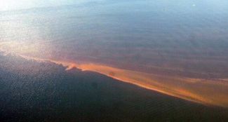 İzmit Körfezi renk değiştirdi