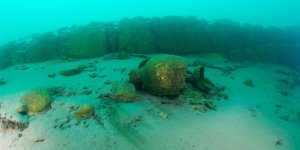 Van Gölü  artık pırıl pırıl olacak