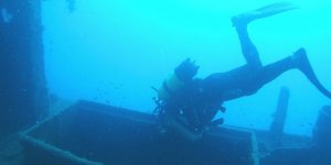 Her dalış yapan batıktan bir parça götürüyor