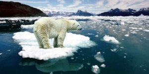 Arktik Denizi’nde buzlar hızla eriyor