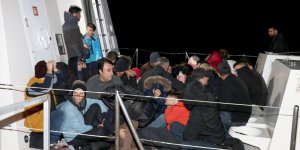 Ro-Ro gemisinde 79 kaçak göçmen yakalandı