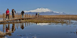 Sultan Sazlığı Kuş Cenneti’ne Ziyaretçi Akını