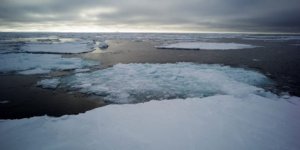 Bering Denizi’ni kaplayan buz eridi