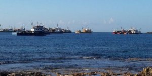 Kaçak avcılar KKTC sularını mesken tuttu