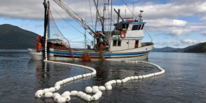 Balıkçı gemisi sahiplerine destek esasları