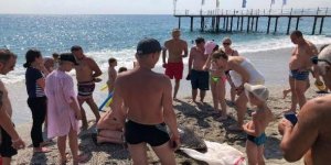 Ölü caretta caretta kıyıya vurdu