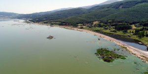 Ladik Gölü’deki 'Yüzen adalar' yok olabilir