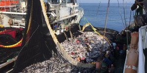 Senegal-Moritanya arasında balıkçılık anlaşması