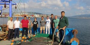 Marmara’da balık stokları araştırılıyor