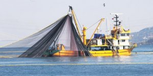 AB bayraklı 128 gemi Fas’ta balık avlayacak