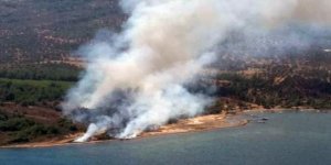Cunda Adası'nda orman yangını!