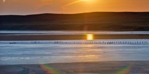 Okyanus yüzeyindeki sıcaklıkta son 100 yılın rekoru