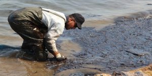 Foça’daki çevre faciası, Meclis gündeminde!