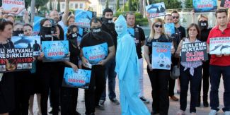 Alanyalılar yunuslara özgürlük istedi