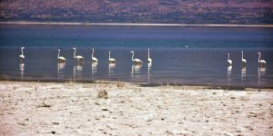 Burdur Gölü kurtarılamaz halde