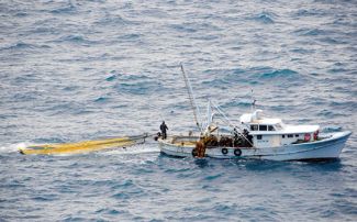 İstanbul'da trol ile avlanan balıkçılara operasyon