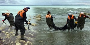 Van Gölü zifte bulanacaktı