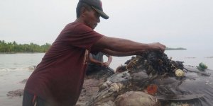 Ölü balinanın midesinden 6 kilo çöp çıktı