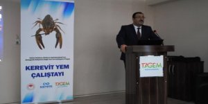 Eğirdir'de "Kerevit Yem Çalıştayı"