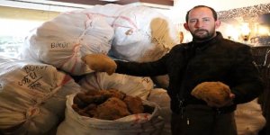 Yunanistan'a sünger ihracatı yeniden başladı