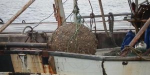 Balıkçı ağına takılan mayın incelemeye alındı