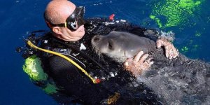 Mustafa Koç'suz 3 yıl!