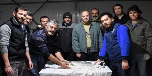 Hastalıklara dayanıklı levrek üretilecek