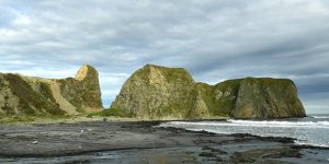 Japonya’dan ABD’ye Kuril Adaları teklifi