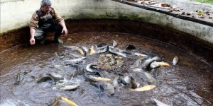 Su ürünleri yetiştiricilerine iyi tarım desteği