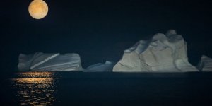 Plastik kirliliği el değmemiş bölgelere bile ulaştı