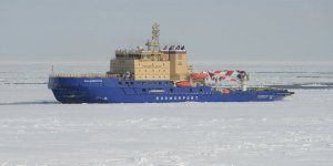 ABD Arktik'teki çıkarlarını korumaya hazır değil